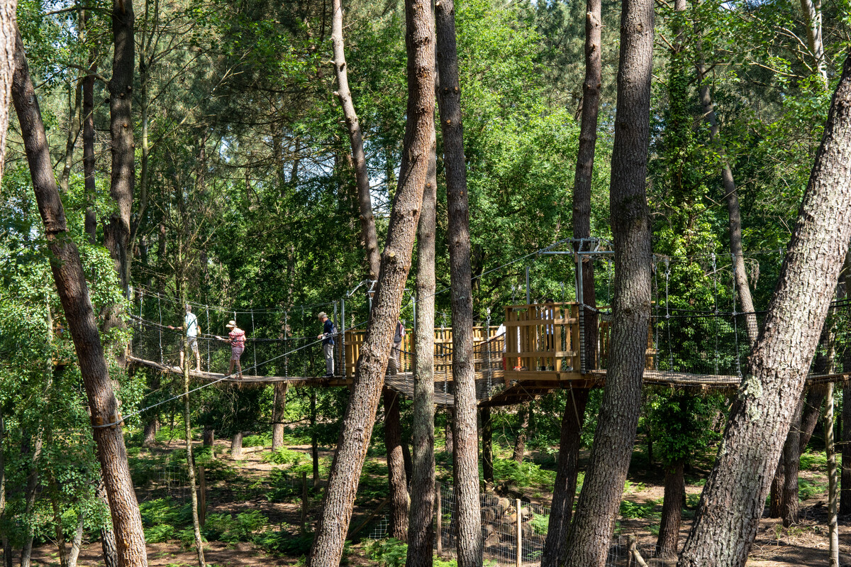 Center Parcs Le Bois aux Daims cabane forêt