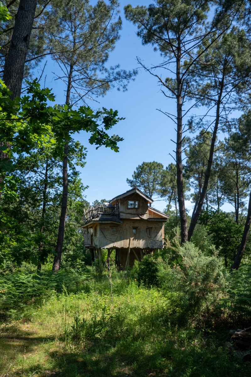 Center Parcs Le Bois aux Daims cabane lodge dans les arbres
