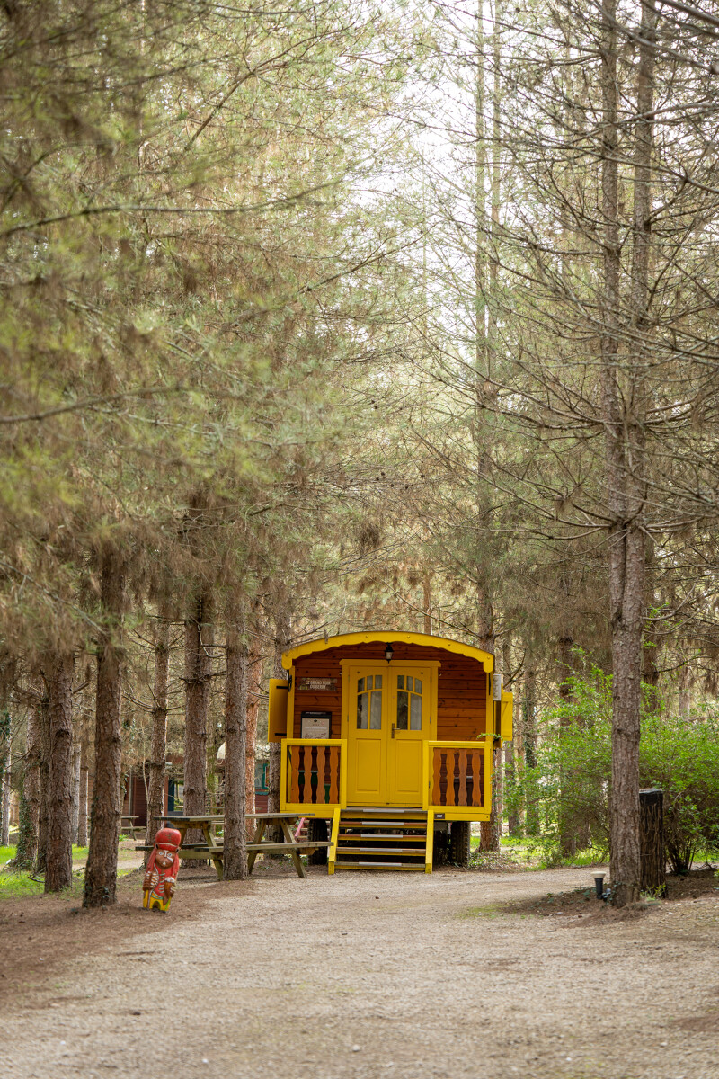 Déiplanet' roulotte nuitée